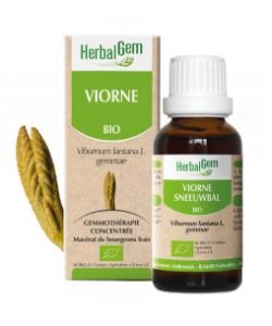 Viorne (Viburnum lantana) bourgeon BIO, 15 ml